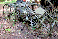 Netherland Tavern Historic Site Horse-Drawn Buggies